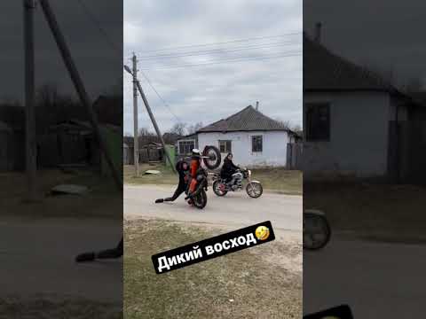 Восход vs альфа | лютая Заруба) #восход #shorts #альфа