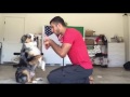 dog training - Taught Jiu Jitsu - handbook for dog trainers and dog lovers bit.do/DogTrainerForum dog training - Taught Jiu Jitsu - handbook for dog trainers and dog lovers bit.do/DogTrainerForum