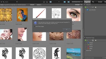 How to Use Photoshop Elements Organizer