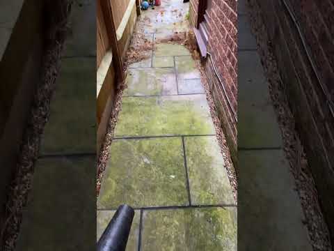 Satisfying Leaf Clear