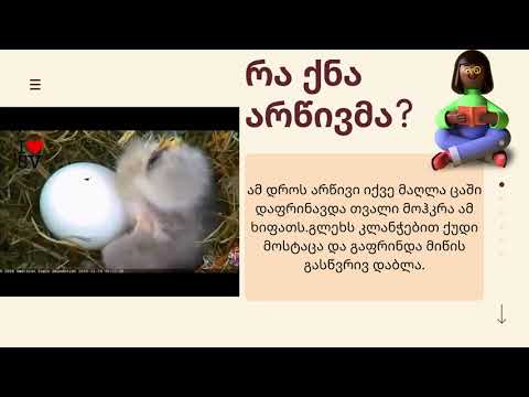 ი გოგებაშვილი სამაგიერო სიკეთე