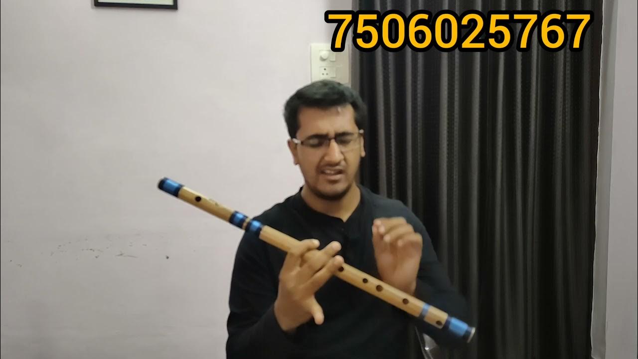 2 Beginner Flute Lessons / Easily learn flute online YouTube