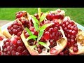 How To Grow Pomegranates From Seed