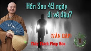 Hồn sau 49 ngày đi về đâu? (vấn đáp rất hay) - Thầy Thích Pháp Hòa