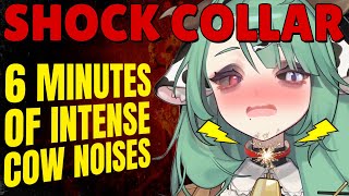 Crelly Gets Shocked When She Says Thats Crazy