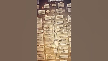 Maximizing Revenue Growth Through Channel Partnerships