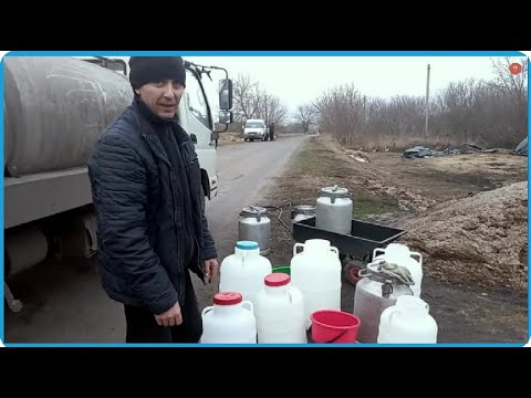 видео: УТРО В ДЕРЕВНЕ НАЧИНАЕТСЯ С МОЛОКА