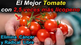 Este es el Tomate con más Fitoquímicos y Antioxidantes para eliminar Cáncer y Radical Libre