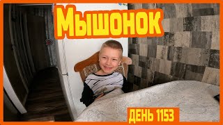 Download Lagu Чиню дворники на Фиате. Киа на ТО. Подарок для Димы. — День 1153 MP3