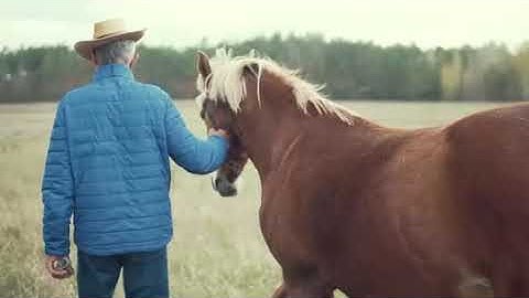 Power Up 1 Unit 3 FUN ON THE FARM