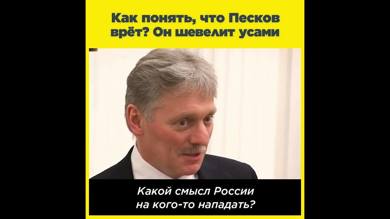 Несущего пургу пескова. Песков врет. Как понять что Песков врет. Песков вы говорите неправду. Песков врет о службе.