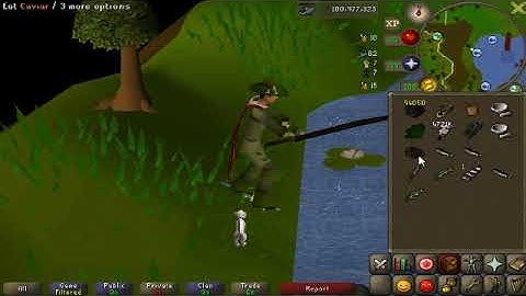 Polyphasic Sleep Ramble