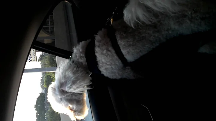 Cross going to daycare