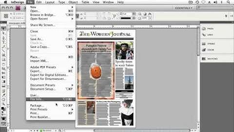 Adope Flash Tutorial CS4 Working with Print Presets