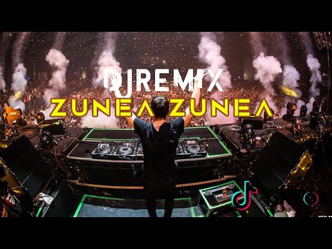 Zunea DJ ZUNEA ZUNEA - REMIX - YouTube