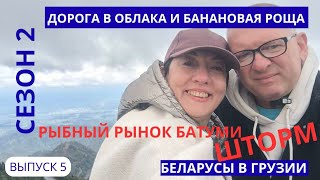 видео: РЫБНЫЙ РЫНОК БАТУМИ.ГОМИС МТА.БАНАНОВАЯ РОЩА. ШТОРМ! ВЫ ТАКОГО ТОЧНО НЕ ВИДЕЛИ! БЕЛАРУСЫ В ГРУЗИИ #5 картинка: РЫБНЫЙ РЫНОК БАТУМИ.ГОМИС МТА.БАНАНОВАЯ РОЩА. ШТОРМ! ВЫ ТАКОГО ТОЧНО НЕ ВИДЕЛИ! БЕЛАРУСЫ В ГРУЗИИ #5