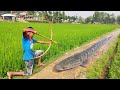 Amazing Small Boy Fishing Video In Water Drean🖤Village Little Boy Catching Big Fish With Arrow Bow