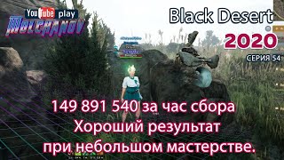 Мясо скорпиона и мясо змеи. Black Desert Фарм серебра 2020. Лучница. Руины Тширы.