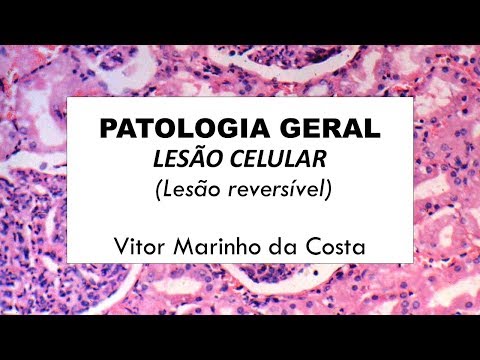 Lesão celular reversível