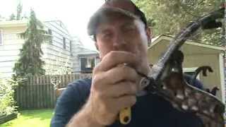 compound bow poundage adjustment