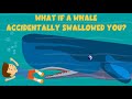 What if a whale accidentally swallowed you  for kids