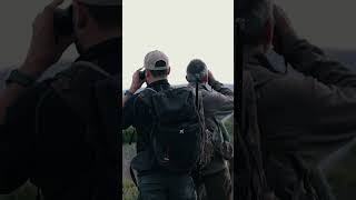 Cronica de un orgánico. Alicante