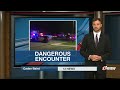 Police shoot, kill dog after attack at Topeka housing complex