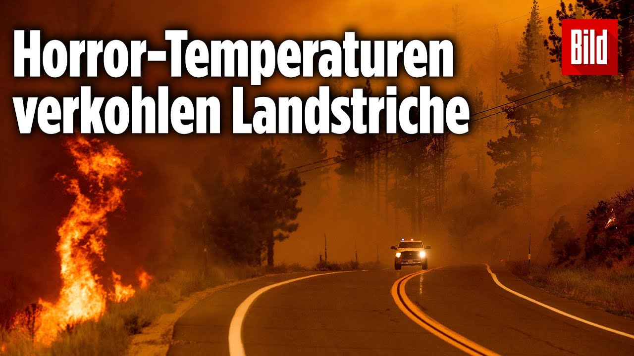Kalifornien: Feuerwehr versucht Feuer-Inferno zu bekämpfen