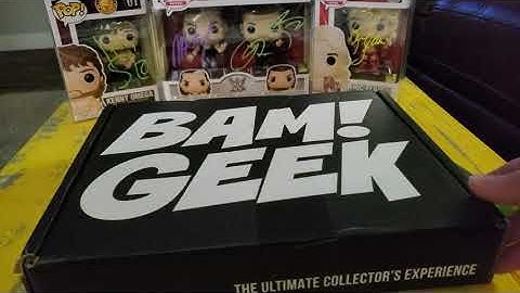 Unboxing Bam Geek Box Volume 5 Box 8 August 2020