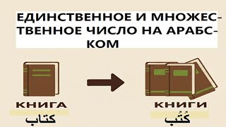 Уроки арабского Языка слова в единственном и множественном числе #арабскийязык