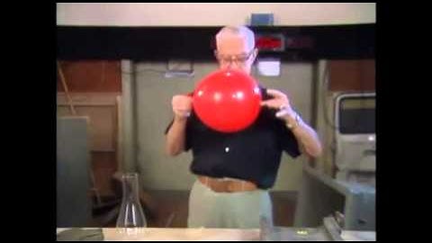 Old Disney sound effect cartoons