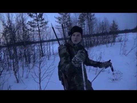 Video: Kuinka Erottaa Majava Jäniksestä