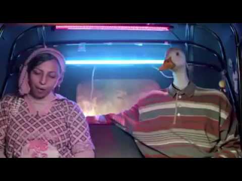 اضحك راجل حمش مش دكر بط ههههههه 