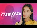 Momoland   curious  center distribution