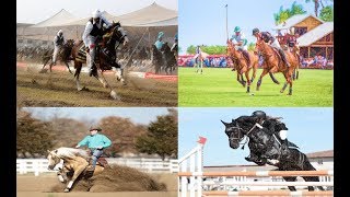 Celebrity 10 Popular Equestrian Sports & history (House of Top Ten) Profile