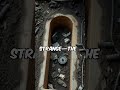 Real Crime Story no 307 #shorts #crime #short
