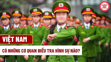 Việt Nam có những Cơ quan Điều tra hình sự nào? | THƯ VIỆN PHÁP LUẬT
