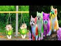 Tik Tok Chó Phốc Sóc Mini 😍 Funny and Cute Pomeranian #444