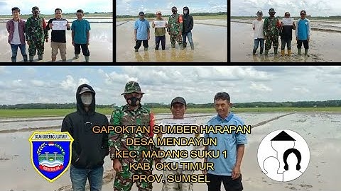 Gapoktan Sumber Harapan Desa Mendayun kec. Madang Suku 1 Kab. OKU Timur SUMSEL
