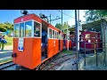 【電車作りました】究極の【私鉄】個人製作で誰でも運転士！恐るべし無料の自家用鉄道！櫻谷軽便鉄道が凄かった！