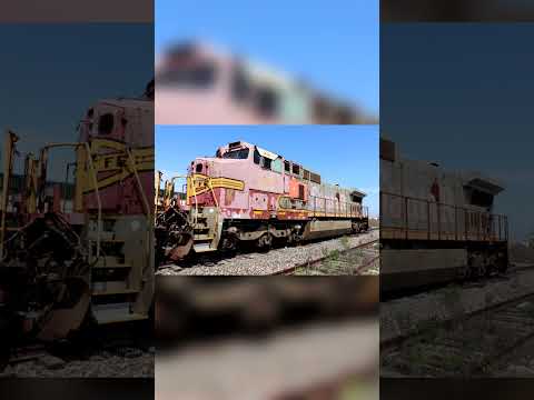 Have you ever seen a TRAIN GRAVEYARD!? #shorts