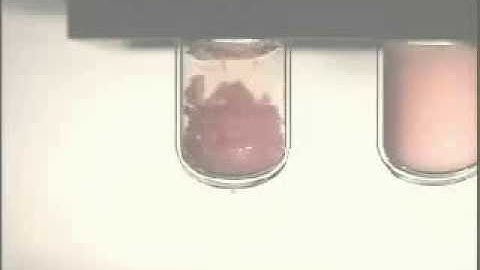 Muscle Tissue Disruption powered by Covaris AFA