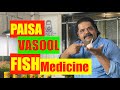 Natural medicine for Aquarium Fish | Garlic - Best medicine, How to Make DIY Garlic fish treatment