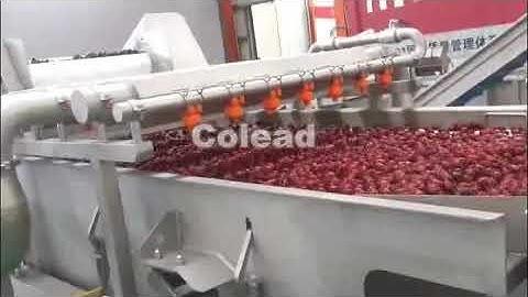Colead machinery, dates processing line, date processing machine test machine