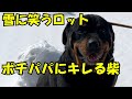 初めての雪だるま作りに笑える一コマ♡