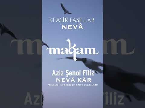 Aziz Şenol Filiz - Nevâ Kâr: Gülbün-i Iyş Mîdemed Sâki-i Gül'izâr Kû #shorts