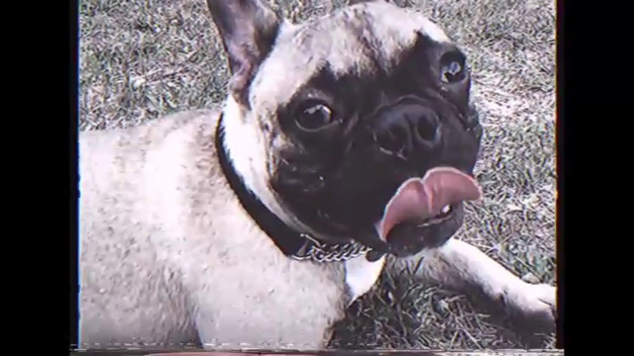 Lapingra - Madmoiselle