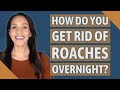 How do you get rid of roaches overnight?