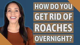 How do you get rid of roaches overnight?