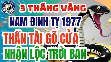 Nam Đinh Tỵ 1977: 3 Tháng Rực Rỡ Tiền Bạc Năm 2025 – Thần Tài Đến Gõ Cửa!